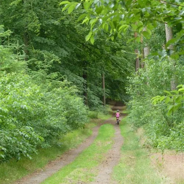 camping-und-wohnmobilpark-naturcamping-malchow-malchow-dxkli
