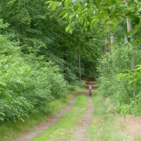 camping-und-wohnmobilpark-naturcamping-malchow-malchow-dxkli