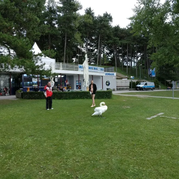 camping-neufeld-neufeld-an-der-leitha-iuy7t