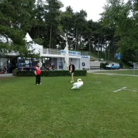 camping-neufeld-neufeld-an-der-leitha-iuy7t