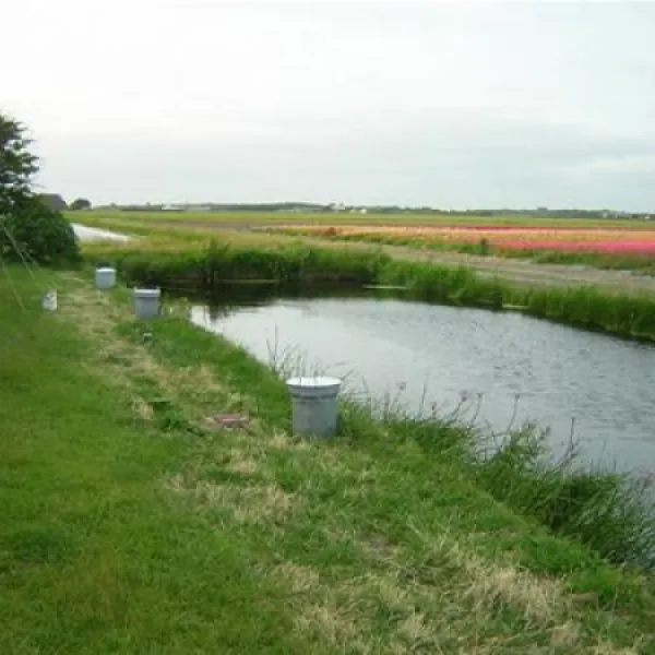 camping-bremer-petten-cug9w