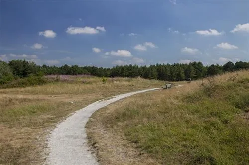 camping-de-nollen-callantsoog-8t7oe