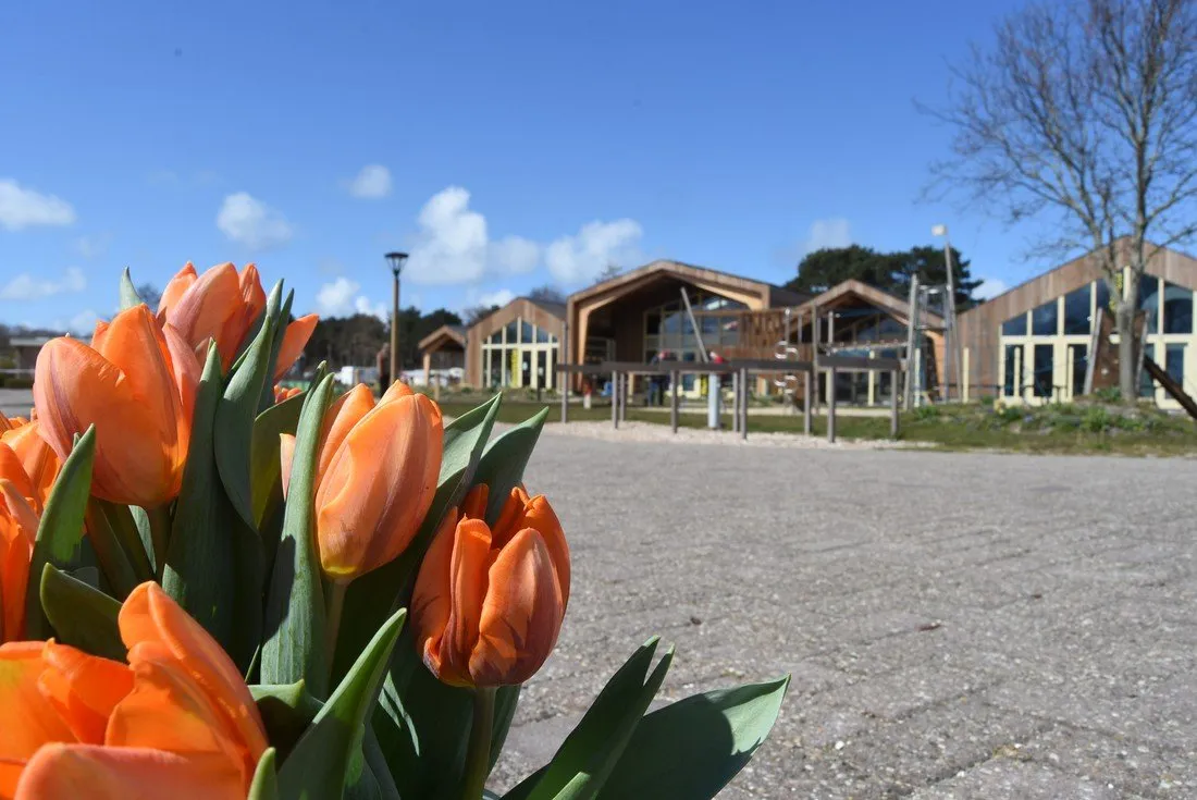 camping-de-nollen-callantsoog-ovjdp