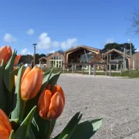 camping-de-nollen-callantsoog-ovjdp