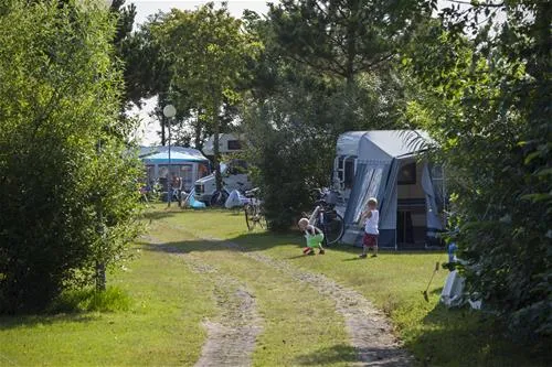 camping-de-nollen-callantsoog-tqywp