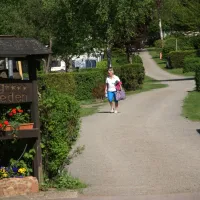 camping-waldfrieden-saarburg-btn4o