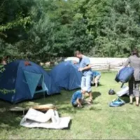 Ferienparadies-Waldidylle