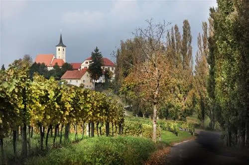 camp-silva-ljutomer-hzsbp