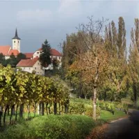 camp-silva-ljutomer-hzsbp