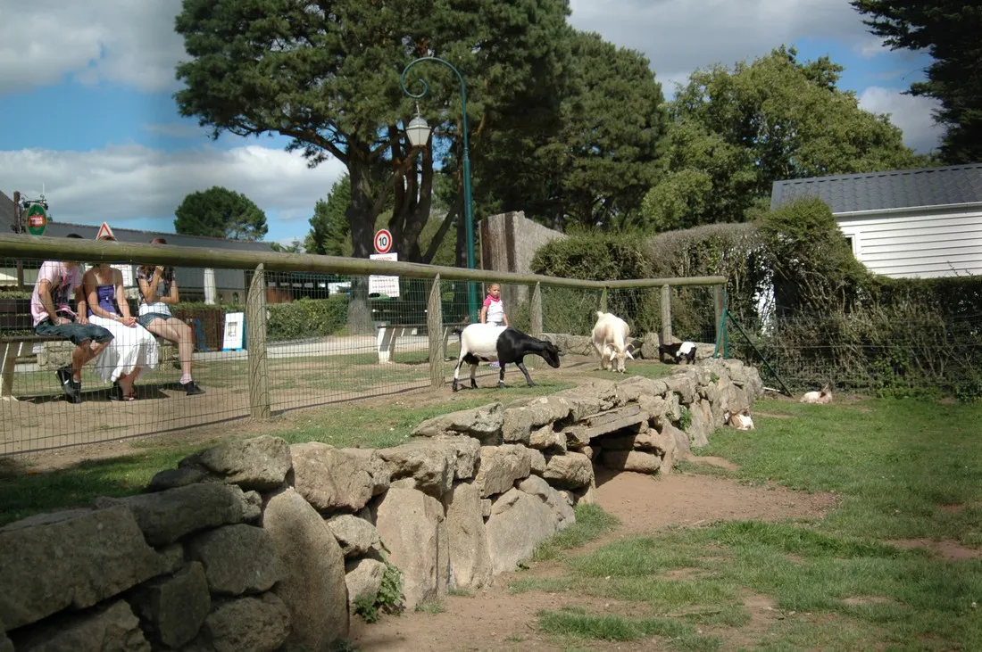 castel-camping-caravaning-la-grande-metairie-carnac-5liad
