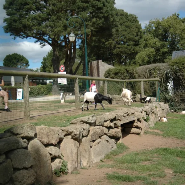 castel-camping-caravaning-la-grande-metairie-carnac-5liad