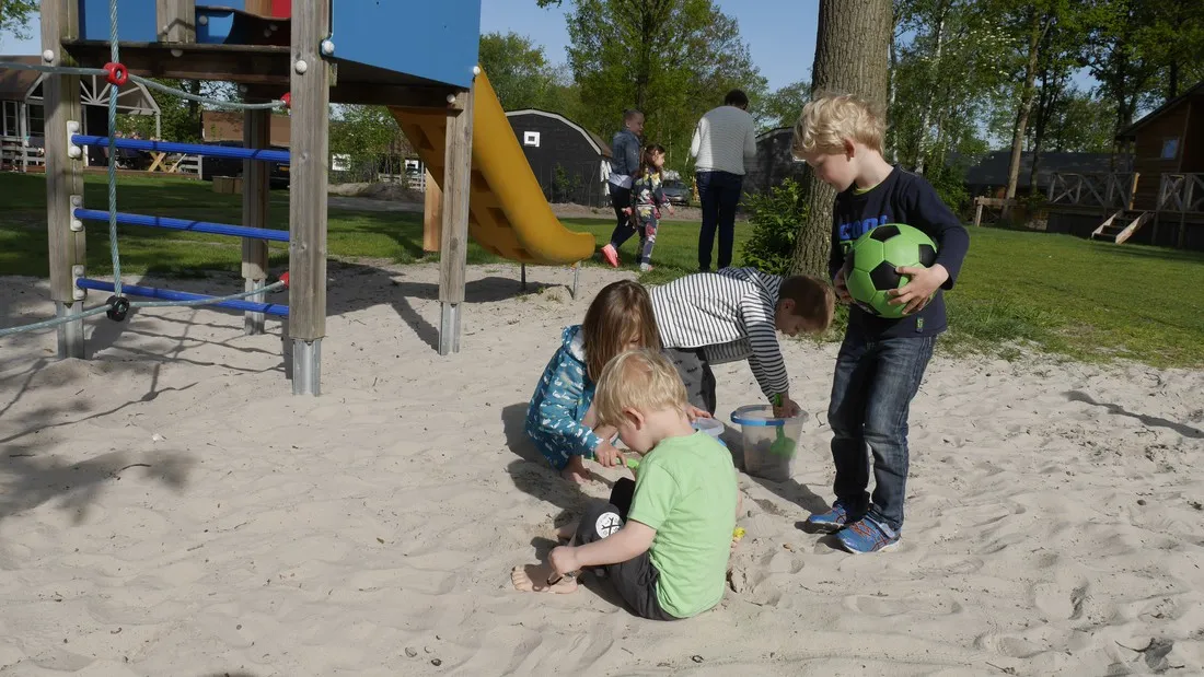 camping-de-zandstuve-rheeze-8nzjw