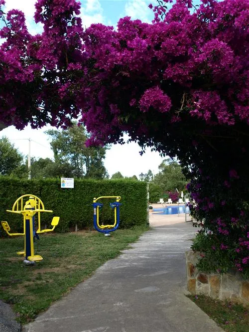 camping-cudillero-cudillero-pdsg6
