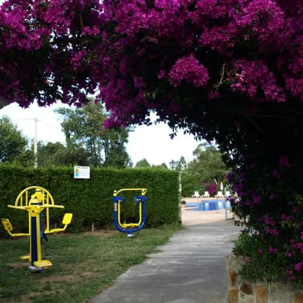 camping-cudillero-cudillero-pdsg6