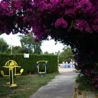 camping-cudillero-cudillero-pdsg6