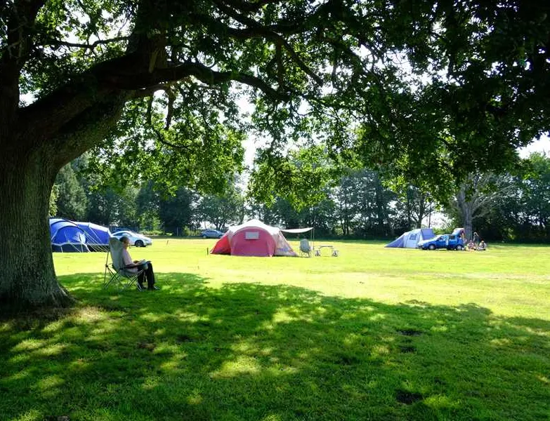 organford-manor-caravans-holidays-poole-5gv1i