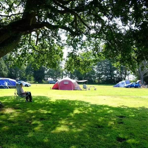 organford-manor-caravans-holidays-poole-5gv1i