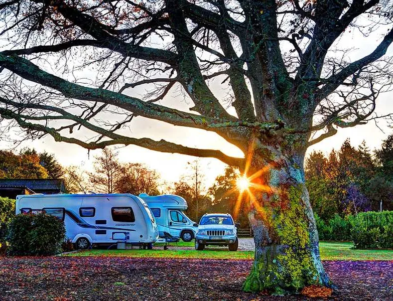 organford-manor-caravans-holidays-poole-yhyu0