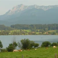 camping-brugger-am-riegsee-spatzenhausenot-hofheim-fwatn