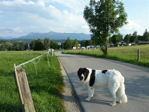 camping-brugger-am-riegsee-spatzenhausenot-hofheim-t0j25