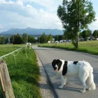 camping-brugger-am-riegsee-spatzenhausenot-hofheim-t0j25