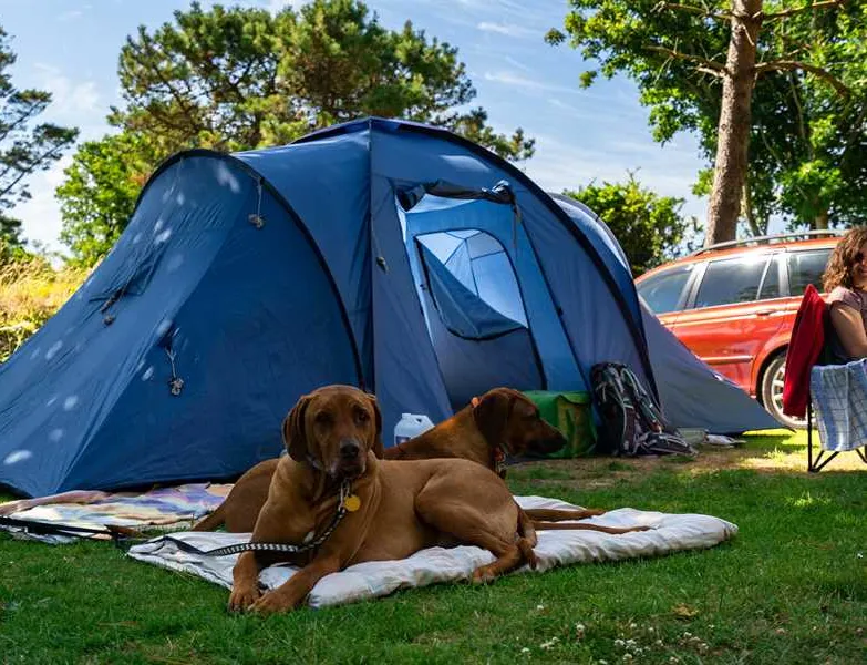 silver-sands-holiday-park-helston-niqsa