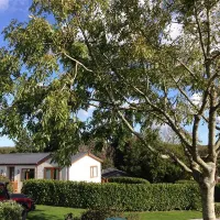 silver-sands-holiday-park-helston-xr9la