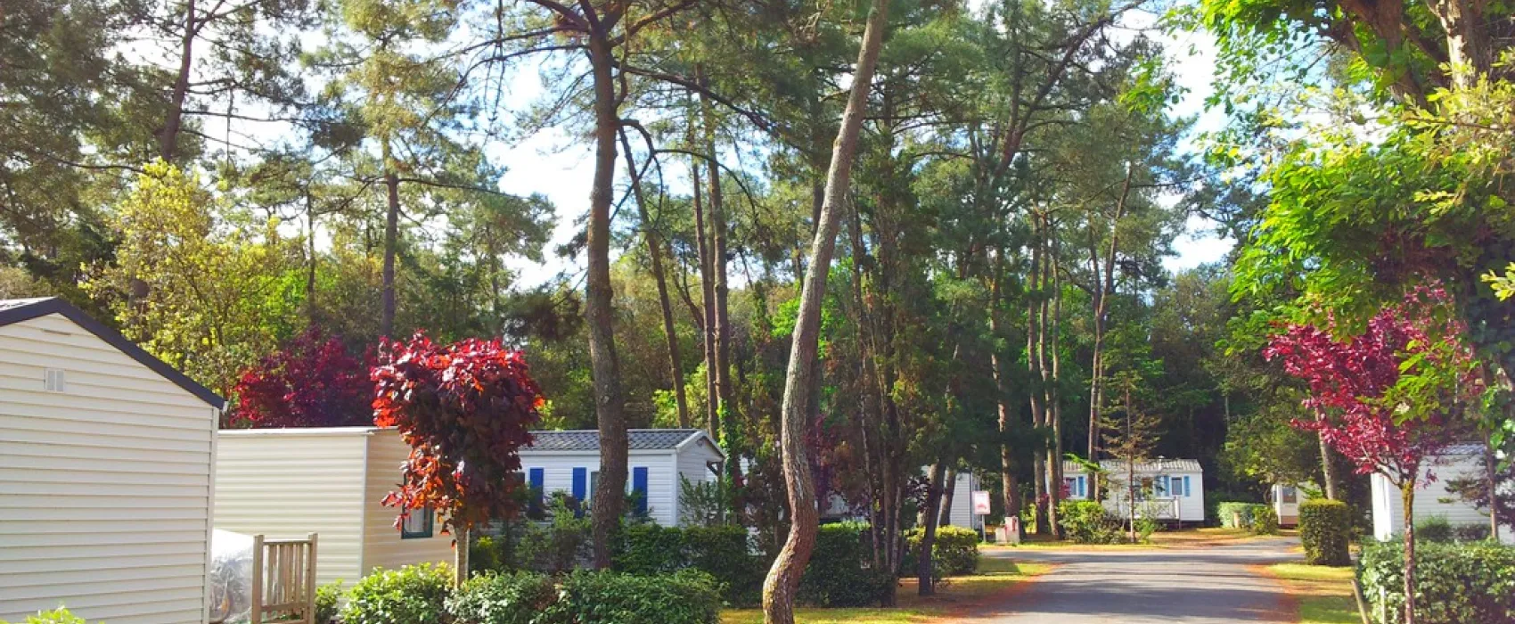 Camping Les Dunes  