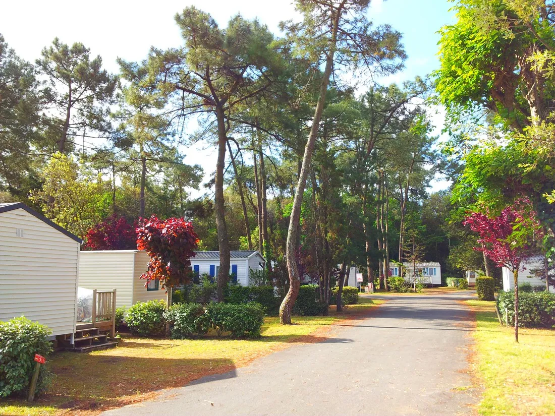 camping-les-dunes-longeville-sur-mer-38go9