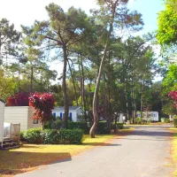 camping-les-dunes-longeville-sur-mer-38go9