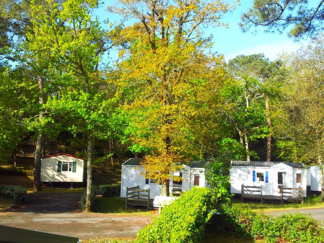camping-les-dunes-longeville-sur-mer-9fztu