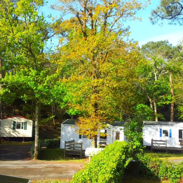 camping-les-dunes-longeville-sur-mer-9fztu