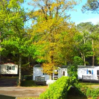 camping-les-dunes-longeville-sur-mer-9fztu