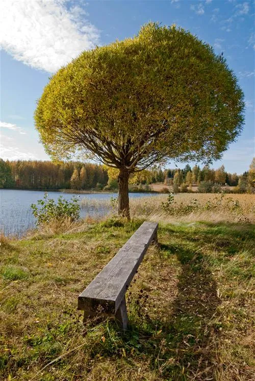 iso-kirja-camping-keuruu-wasrw