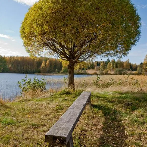 iso-kirja-camping-keuruu-wasrw