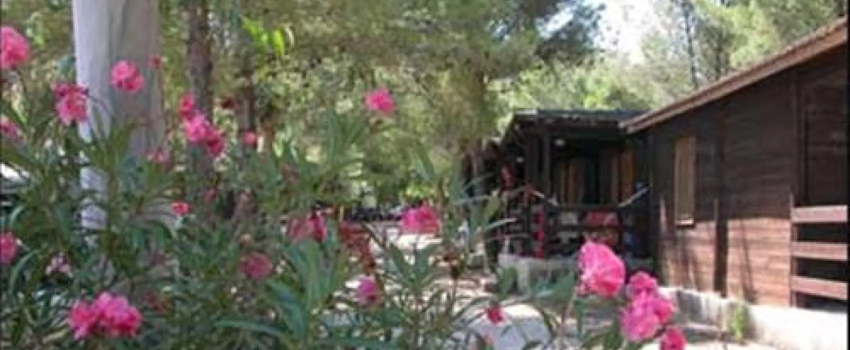 Siesta Camping