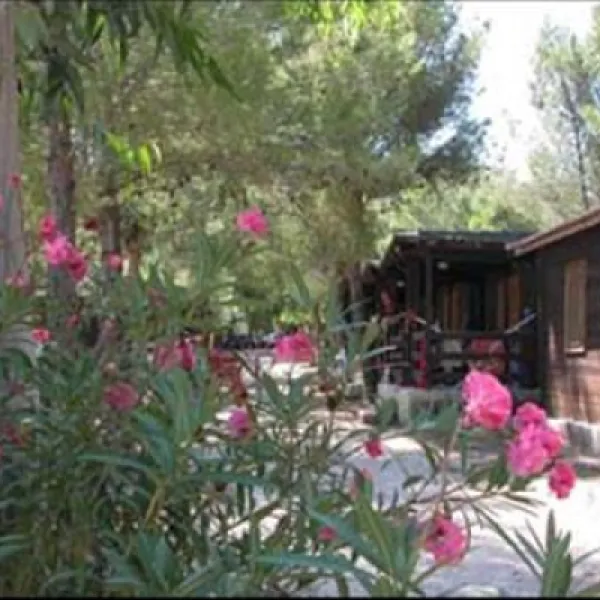 siesta-camping-lido-del-sole-yrf1z