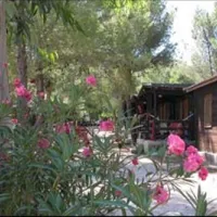 siesta-camping-lido-del-sole-yrf1z