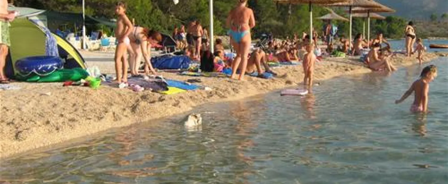 Kamp Jasenovo