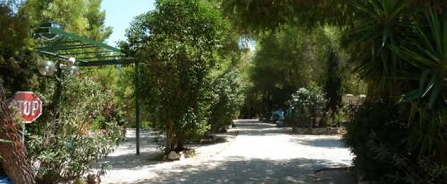 Campsite Nea Kifisia