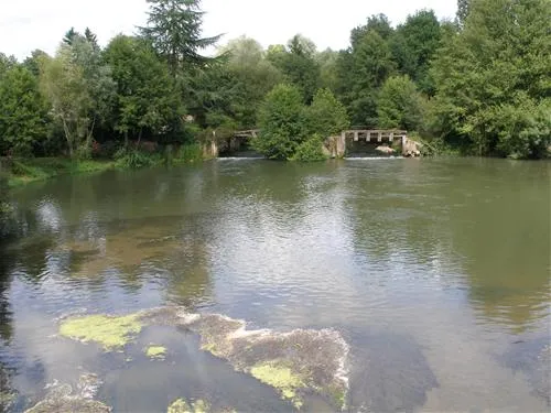 camping-le-petit-arcachon-la-fert-imbault-uepyt