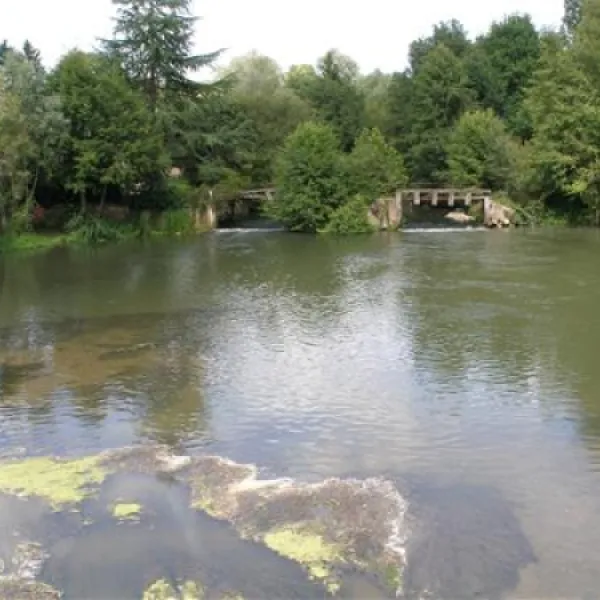 camping-le-petit-arcachon-la-fert-imbault-uepyt