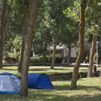 camping-el-vedado-vallromanes-4re5x