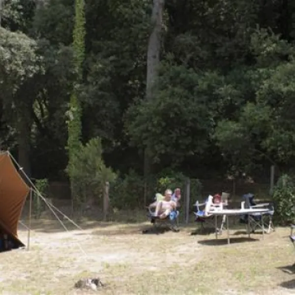 camping-el-vedado-vallromanes-7nkns
