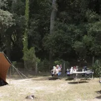camping-el-vedado-vallromanes-7nkns