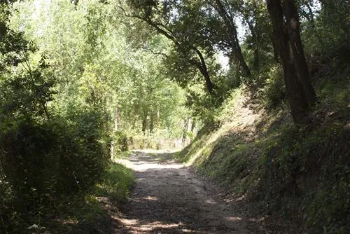 camping-el-vedado-vallromanes-8jee5