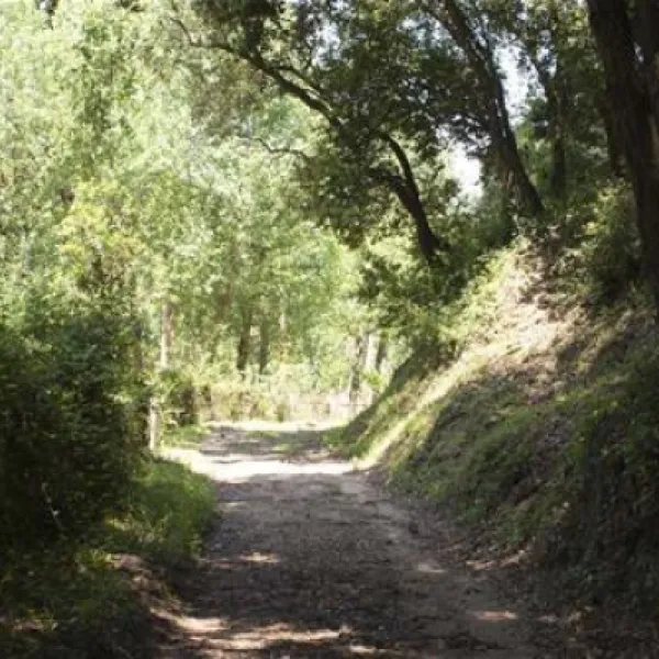 camping-el-vedado-vallromanes-8jee5