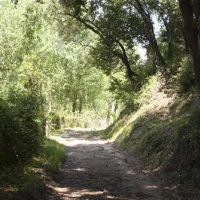 camping-el-vedado-vallromanes-8jee5