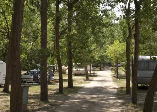 camping-el-vedado-vallromanes-95tr7