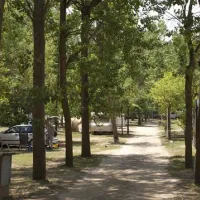 camping-el-vedado-vallromanes-95tr7